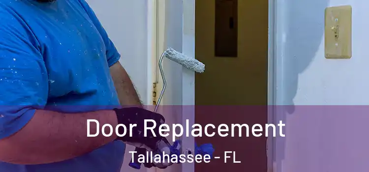 Door Replacement Tallahassee - FL