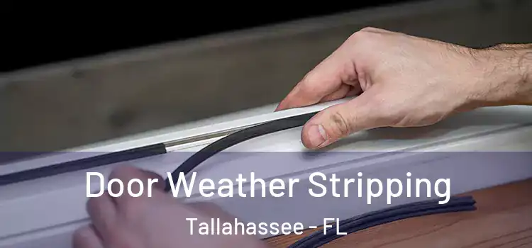 Door Weather Stripping Tallahassee - FL