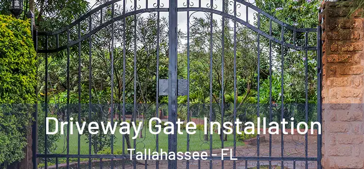 Driveway Gate Installation Tallahassee - FL