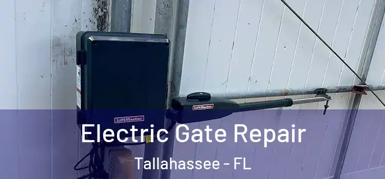 Electric Gate Repair Tallahassee - FL