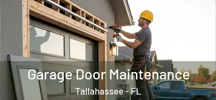 Garage Door Maintenance Tallahassee - FL