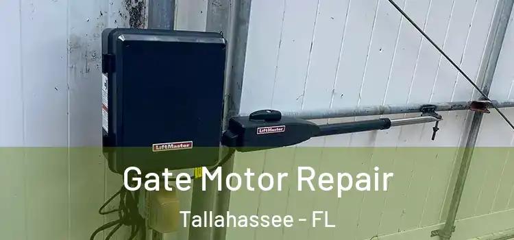 Gate Motor Repair Tallahassee - FL