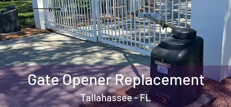 Gate Opener Replacement Tallahassee - FL