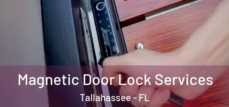Magnetic Door Lock Services Tallahassee - FL