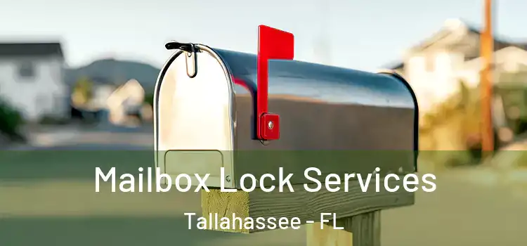 Mailbox Lock Services Tallahassee - FL