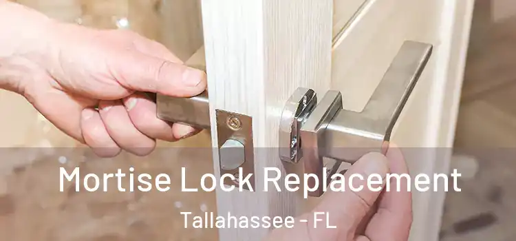 Mortise Lock Replacement Tallahassee - FL