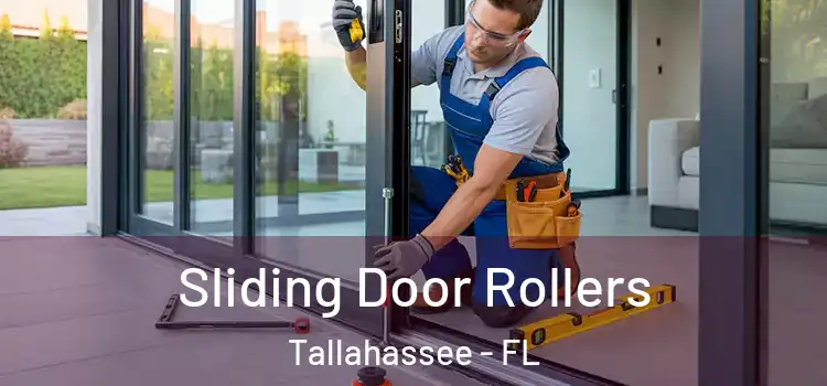 Sliding Door Rollers Tallahassee - FL