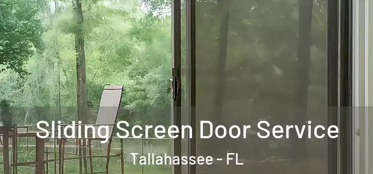 Sliding Screen Door Service Tallahassee - FL